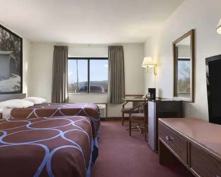 Super 8 by Wyndham Danville Hotels in Vermilion County