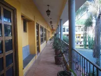 Hotel Plaza del Sol - Pools