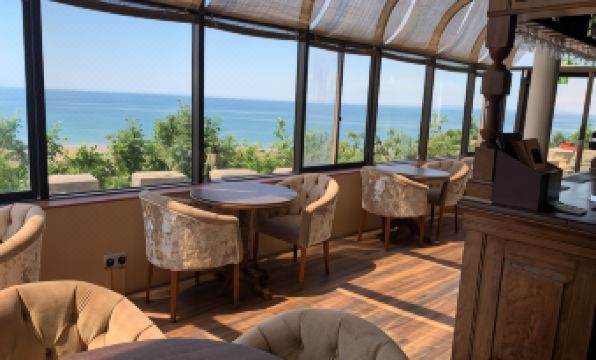 6. 티 그레이그 캐..