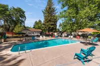 Skylark Shores Resort - Pools