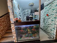 Diplomat Inn Hotel - Homestays