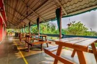 Bigfoot Stay - Forganic Farm & Agro Tourism Hotels in Durshet