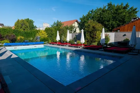 Pensiunea Nora Prestige Отели в г. Тимишоара