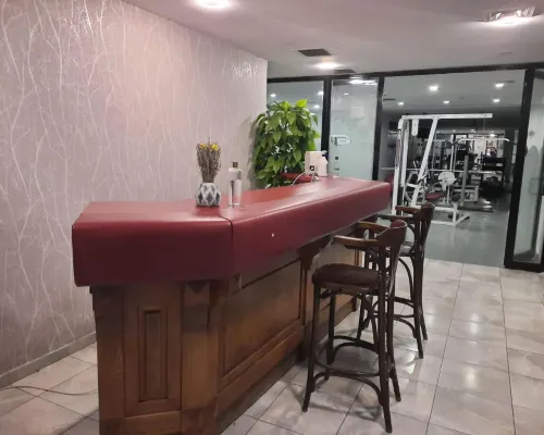 Plaza Hotel Diyarbakir Thư giãn & Giải trí Photos