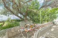 Apartments Zorica Hotels in Igrane