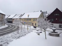 Hotel & Restaurant Druidenstein Hotels in Hohegeiß