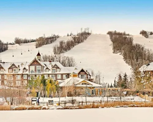 Rustic Mountainside Chalet Hotels in Blue Mountains