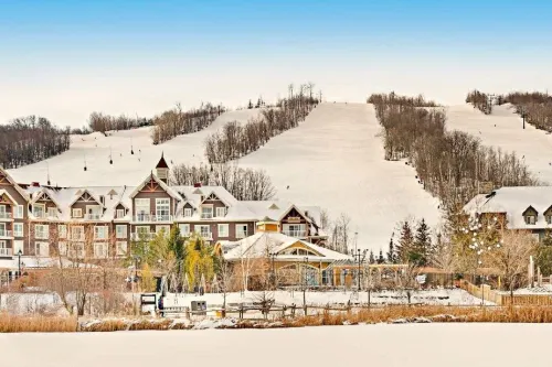 Rustic Mountainside Chalet Hotels in Grey County