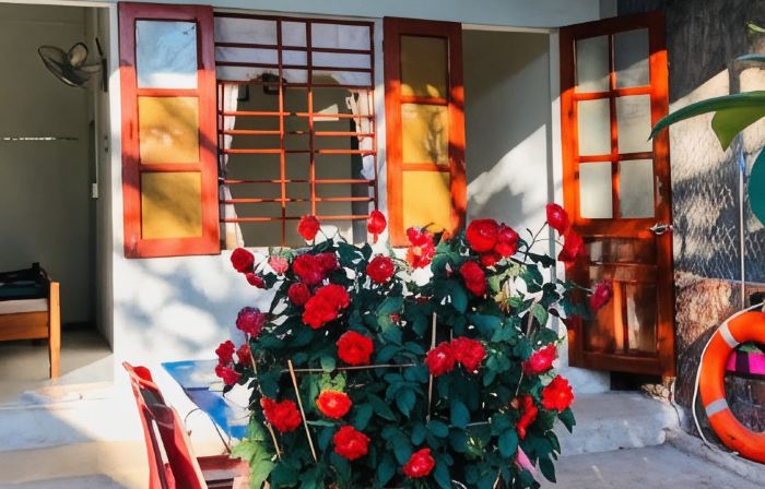 Homestay Loan Anh