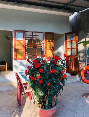 Homestay Loan Anh - Wifi