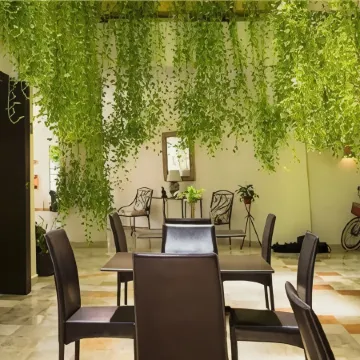 Hotel Los Itzaes by 5th av