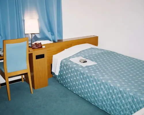 Echizenya Hotel Hotels in Sanjo