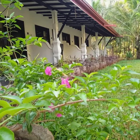 Amron Resort Sigiriya Отели в г. Дамбулла