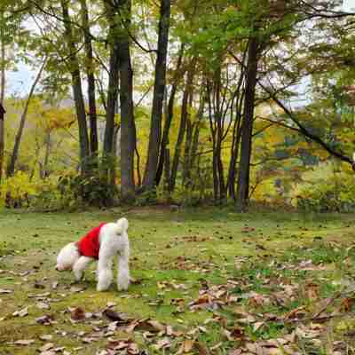 寿司職人が始めた宿 “ 一歩(てくてく)“ Hotel Exterior