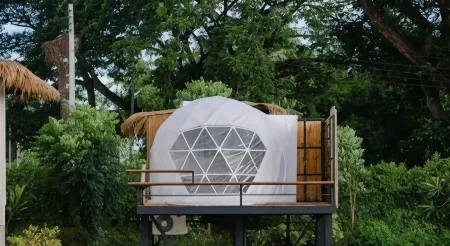 Nornnadubua Nornnadubua