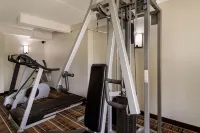 奧羅拉-內珀維爾區凱藝酒店 - 健身室/gym room