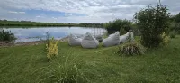 Holiday house 5-10 min to Therme Bucharest and Airport - Homestays