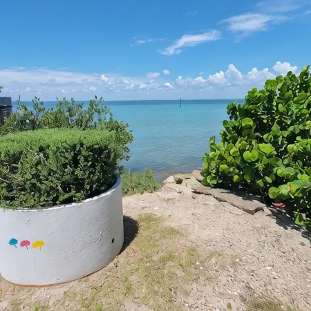 Amazing Lagoon Views and Sunsets!Private Pool!Quiet Street! Sleeps 14!