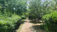 Lvdao Hotel - Park Yeri