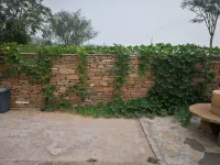 Yanchuan Lupan Homestay - parcheggio