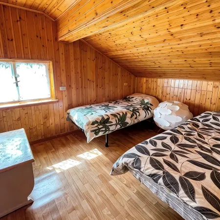 Leo's House