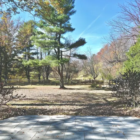 Luxe, Charming Princeton Home - 10 minutes from downtown and the University!