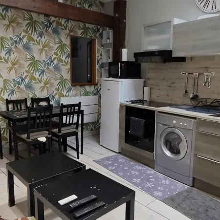 DIJON Super apartment F1 bis air-conditioned mezzanine