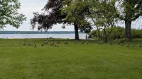 Finger Lakes Cottage Getaway - Maalaistalo