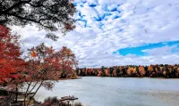 Lake Life on Clover Leaf Lakes  🛶🎣 - 3-Star