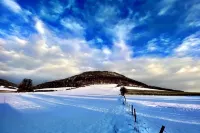 MW vacation apartment in Höxter / Weserbergland directly on the Weser. - Wifi