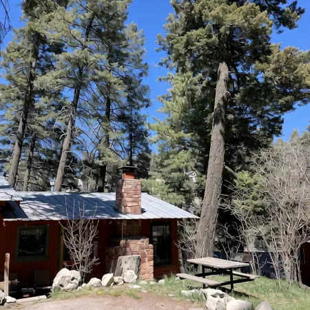Bigfoot's Bunkhouse! Cozy Cabin, Cool Breeze Dogs Welcome! 45 min to white sands