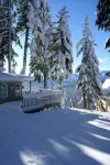 "Eagles Nest Cabin" REMOTE ESCAPE AWAY FROM EVERYTHING!