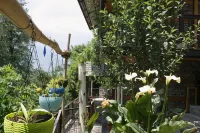 Rustic Roots Home Stay - Villas