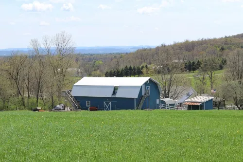 Peaceful Getaway - 12 Mins to Saratoga Race Track - Apartments