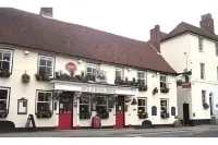 The Dog & Bear Hotel