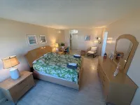 Dolphin Beach condo with indoor pool, ocean views, steps to the beach - Apartments