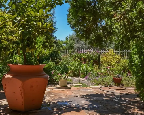 Padlangs Hotels in Kimberley