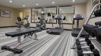 Candlewood Suites CARROLLTON by IHG - Wifi