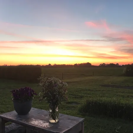 Bremsmaj Farm Holiday