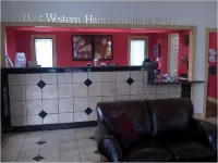 SureStay Plus Hotel by Best Western Hammond Hotels in Hammond