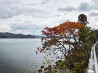 Ultra Private Off Grid Island Villa Near the Beach Mandarin Farm Setting Hotels in Bizen