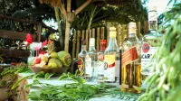 Brasil Tropical Village - bar