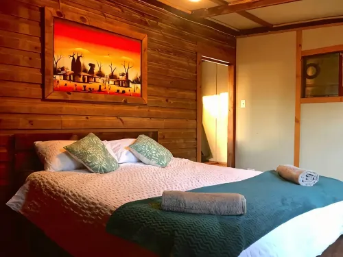 Enchanting Forest Cabin in Tsitsikamma - Hytter