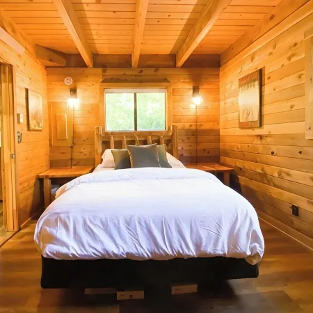 Buffalo Cabin -charming Alpine retreat w/ king bed Hotels in Alpine