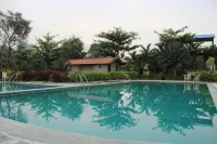 Valley Vibes - Pools