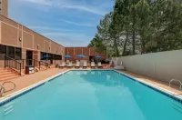 Wyndham Denver Tech Center - Pool