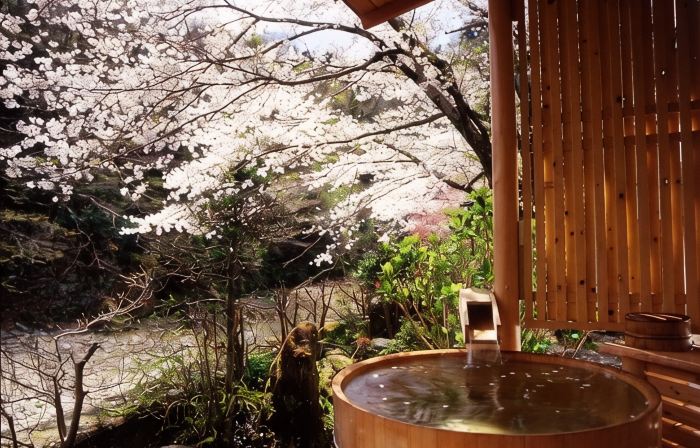 Motoyu Ryokan  Atsugi Iiyama Onsen
