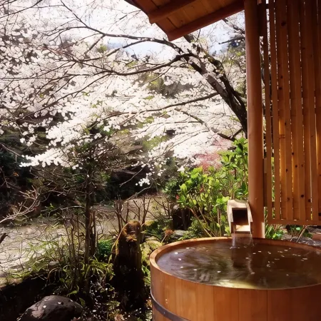 Motoyu Ryokan  Atsugi Iiyama Onsen