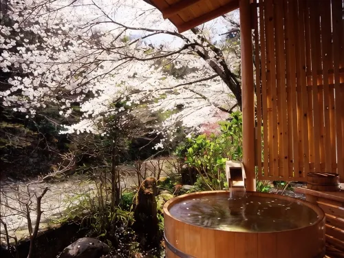 Motoyu Ryokan  Atsugi Iiyama Onsen - 3-Star