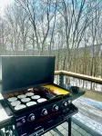 Black Dog Lodge - Ski Chalet centered between Okemo and Killington Mt.